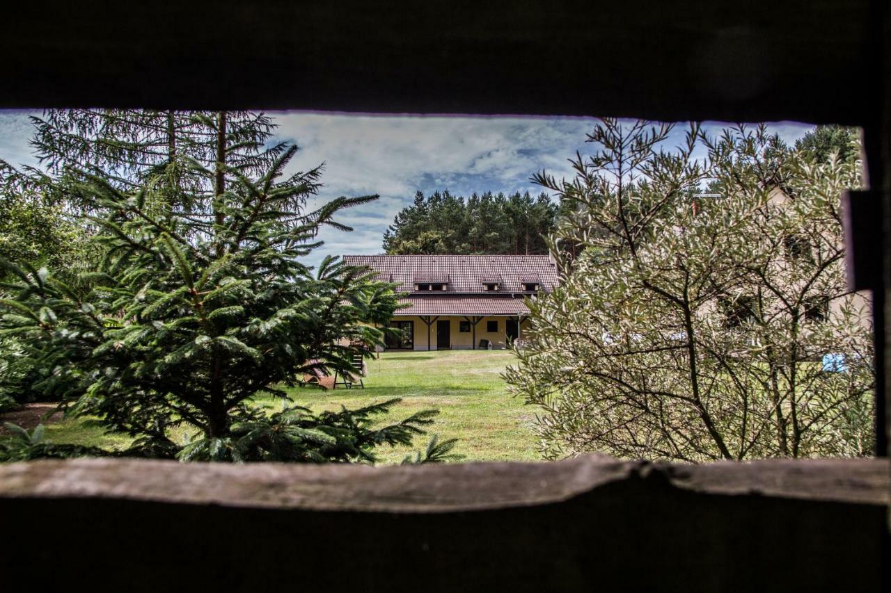 Farm stay Dom Przy Rezerwacie *